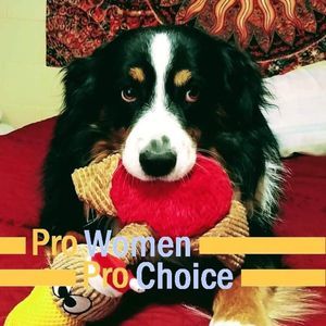 Meet your Posher, Barbara